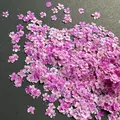 Lot de 1000 perles fleurs séchées pour nail art et résine – Color Argent (11)