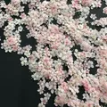 Lot de 1000 perles fleurs séchées pour nail art et résine – Color Beige (1)