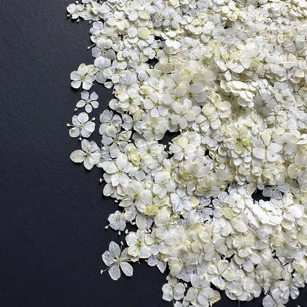 Lot de 1000 perles fleurs séchées pour nail art et résine