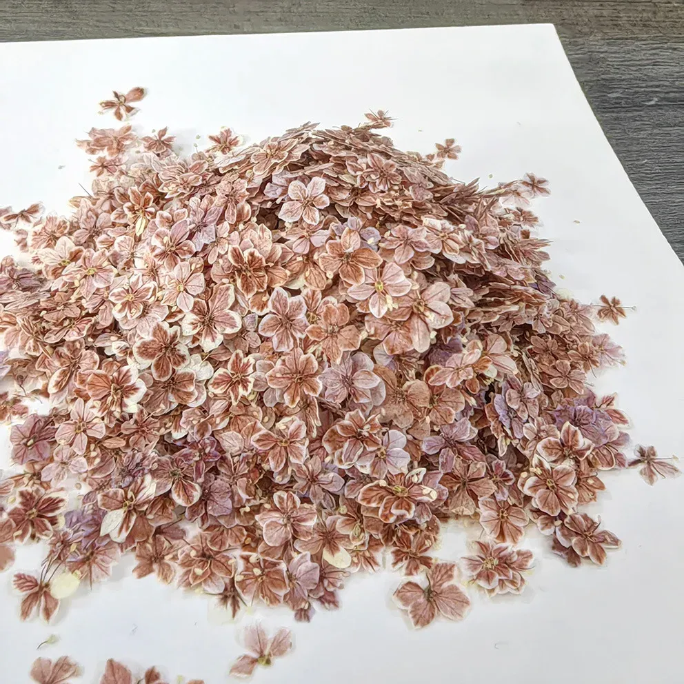 Lot de 1000 perles fleurs séchées pour nail art et résine