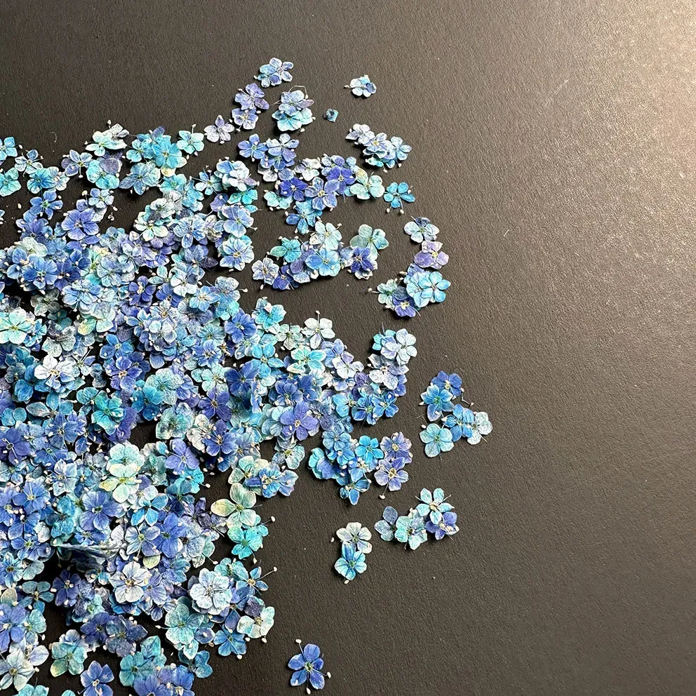 Lot de 1000 perles fleurs séchées pour nail art et résine