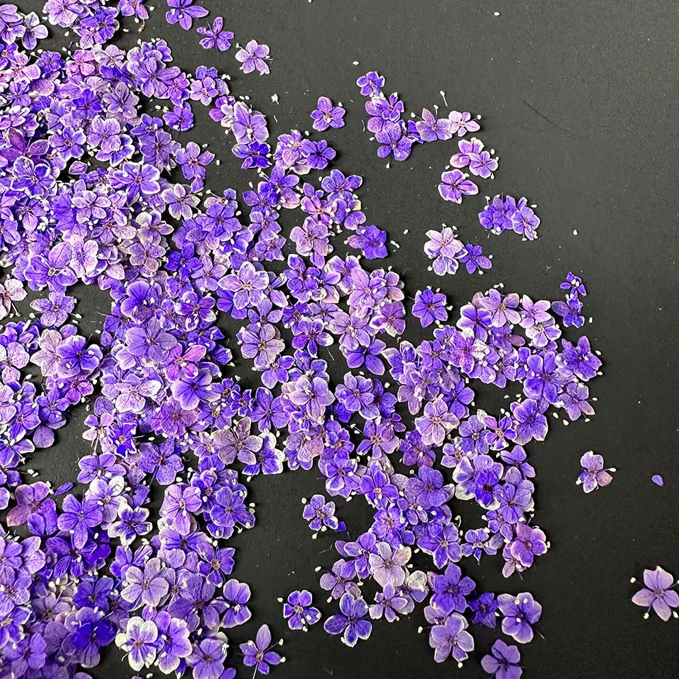 Lot de 1000 perles fleurs séchées pour nail art et résine