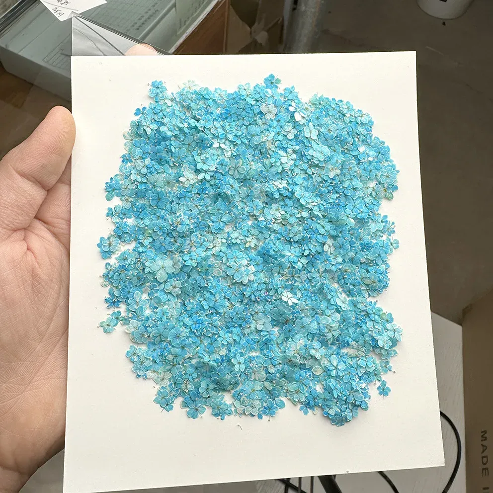 Lot de 1000 perles fleurs séchées pour nail art et résine