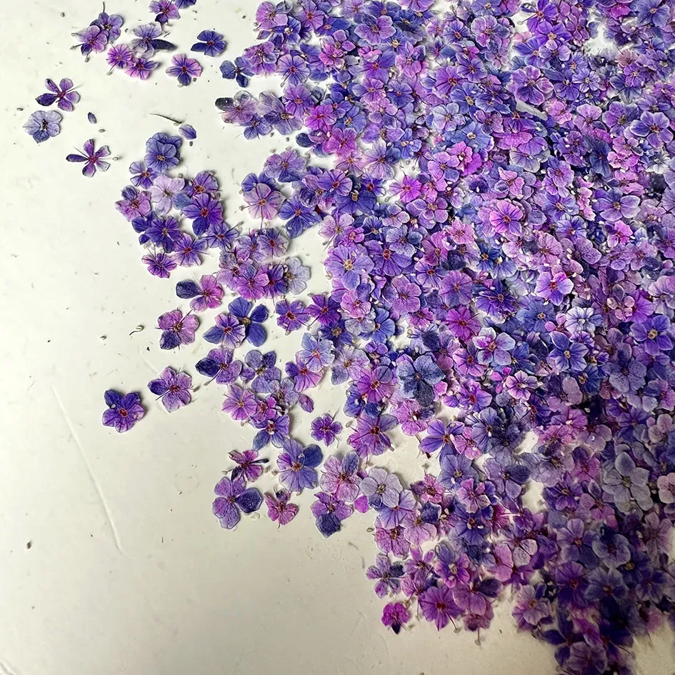 Lot de 1000 perles fleurs séchées pour nail art et résine