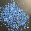 Lot de 1000 perles fleurs séchées pour nail art et résine – Color Gris foncé (8)
