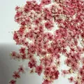 Lot de 1000 perles fleurs séchées pour nail art et résine – Color noir (2)