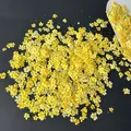 Lot de 1000 perles fleurs séchées pour nail art et résine – Color Rouge (13)