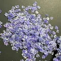 Lot de 1000 perles fleurs séchées pour nail art et résine – Color vert (9)