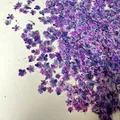 Lot de 1000 perles fleurs séchées pour nail art et résine – Color Vert armée (10)