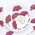 Lot de 12 fleurs cosmos séchées teintées pour cartes et déco – 2