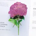 Lot de 12 fleurs cosmos séchées teintées pour cartes et déco – 5