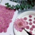 Lot de 12 fleurs de chrysanthème séchées 2 à 3 cm – 6