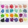 Lot de 150 fleurs séchées pour nail art et résine – 1