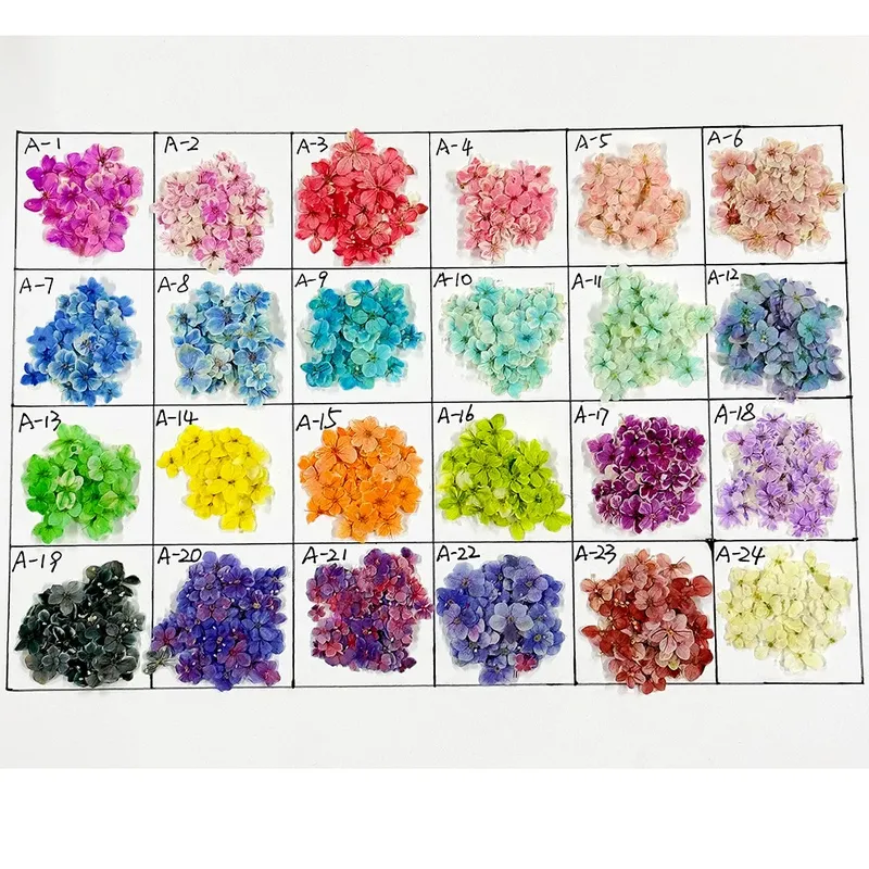 Lot de 150 fleurs séchées pour nail art et résine