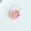 Lot de 150 fleurs séchées pour nail art et résine – Couleur Brun (A-5)