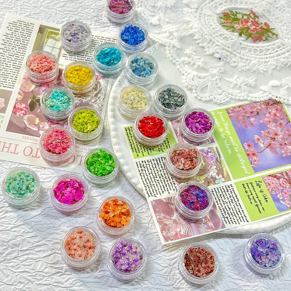 Lot de 150 fleurs séchées pour nail art et résine