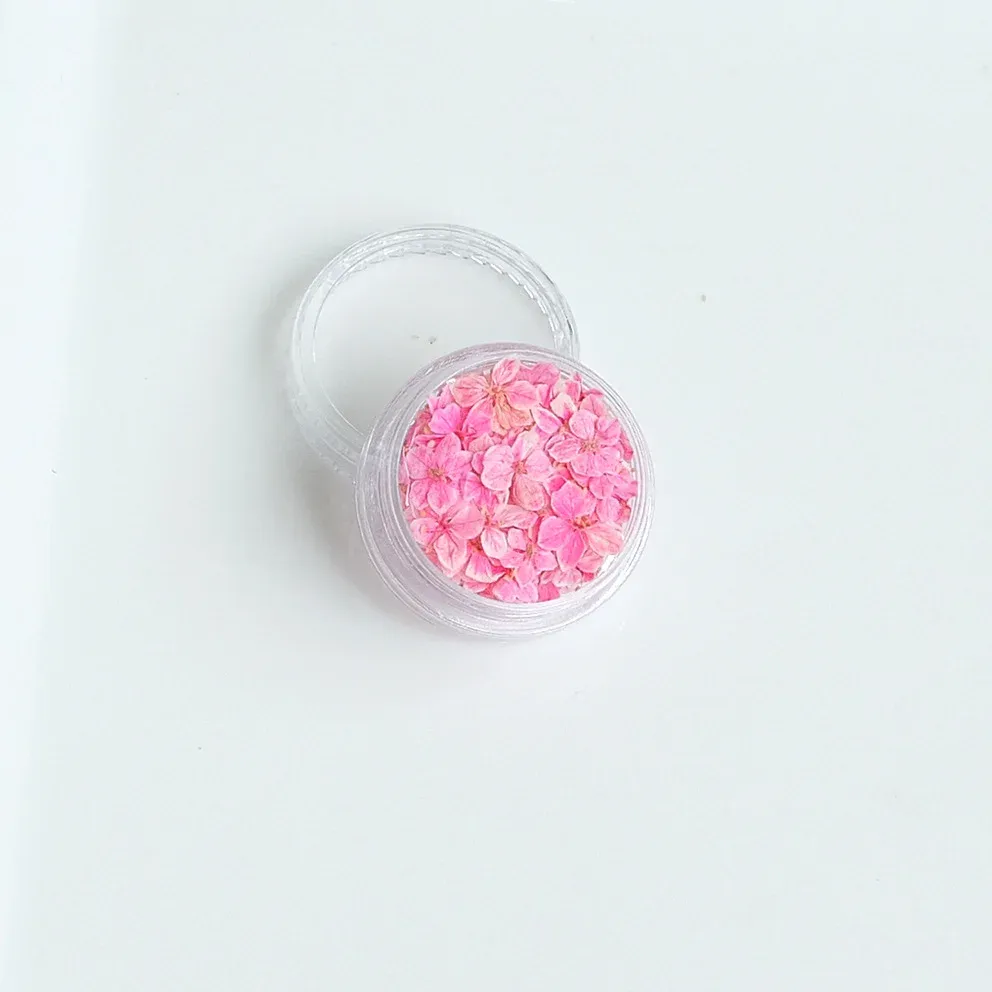 Lot de 150 fleurs séchées pour nail art et résine