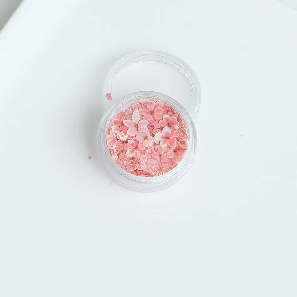 Lot de 150 fleurs séchées pour nail art et résine