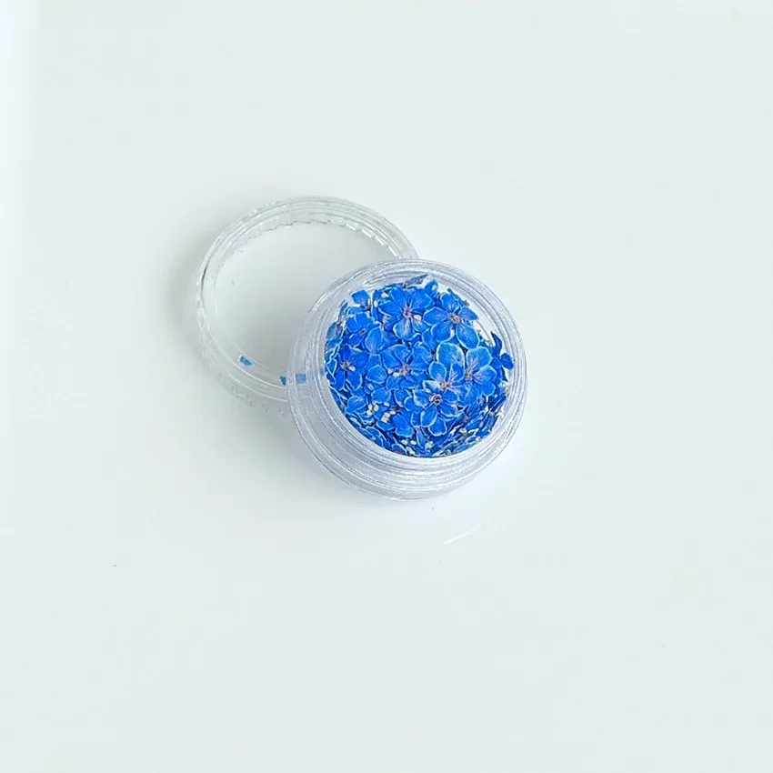 Lot de 150 fleurs séchées pour nail art et résine