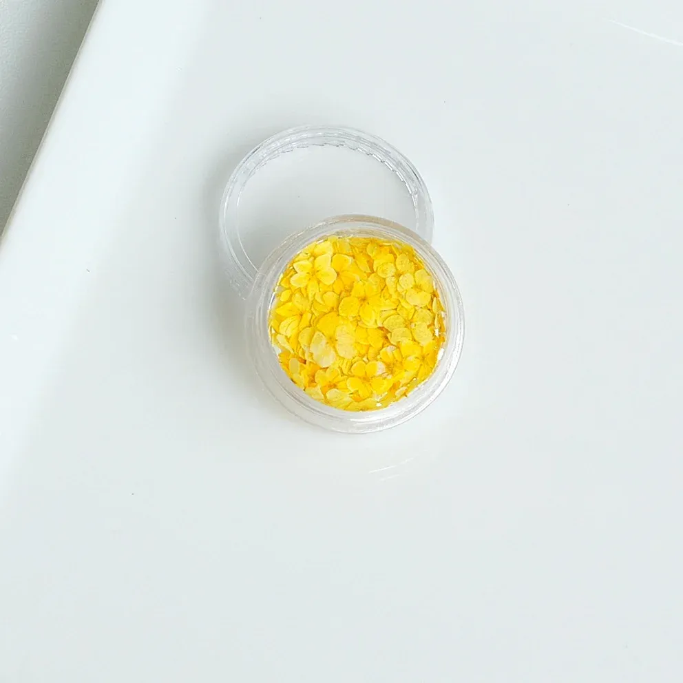 Lot de 150 fleurs séchées pour nail art et résine