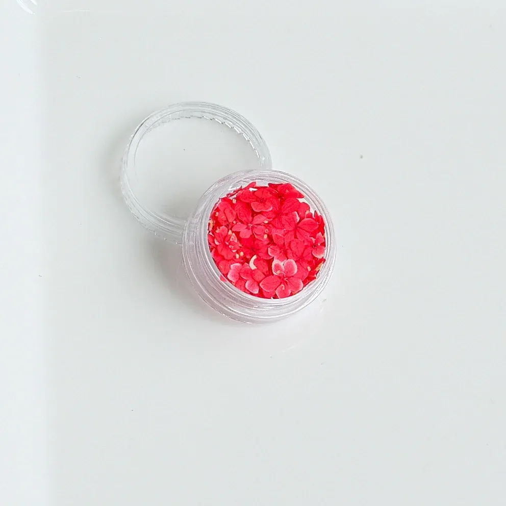 Lot de 150 fleurs séchées pour nail art et résine