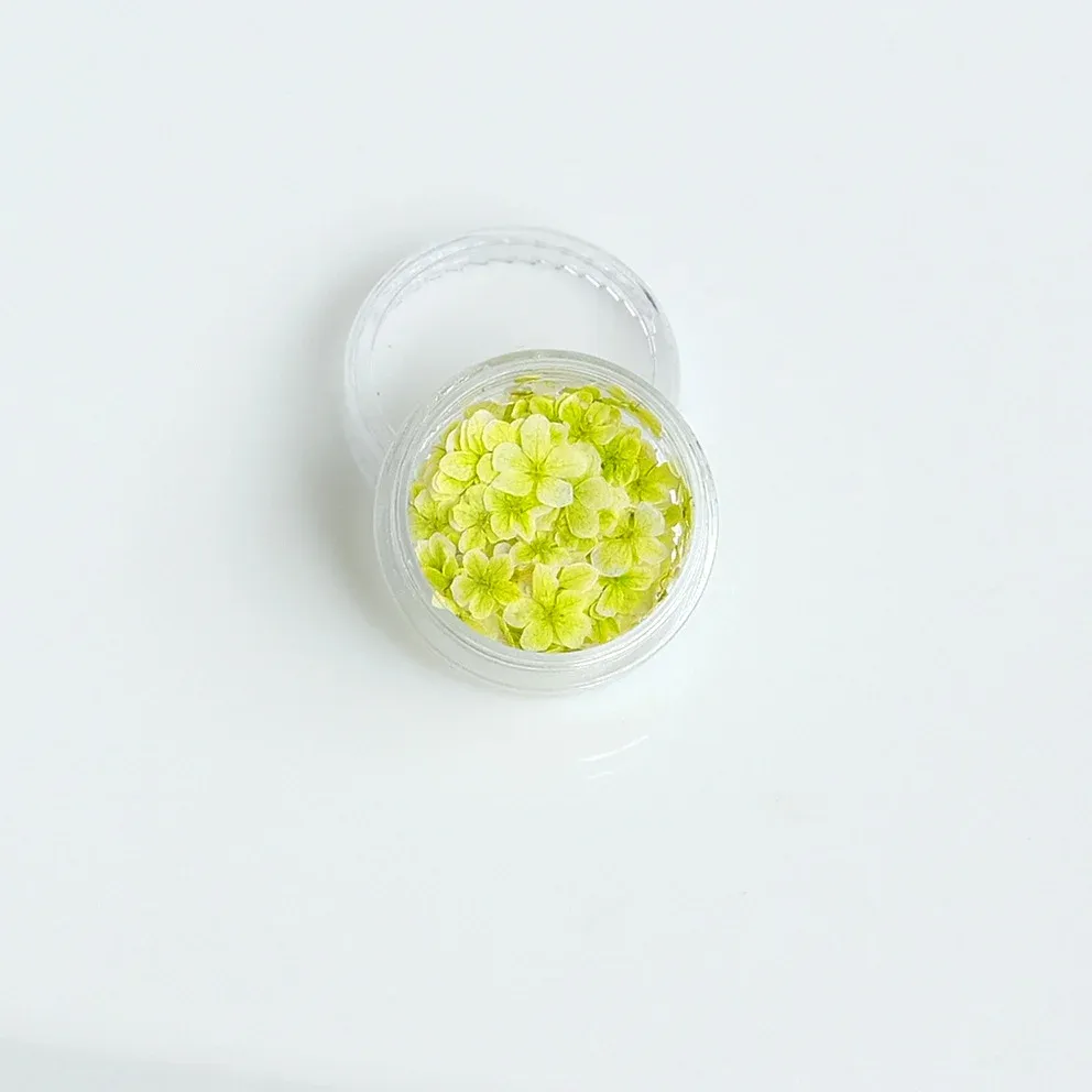 Lot de 150 fleurs séchées pour nail art et résine