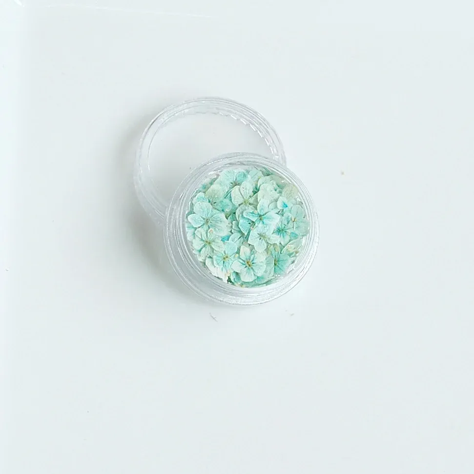 Lot de 150 fleurs séchées pour nail art et résine