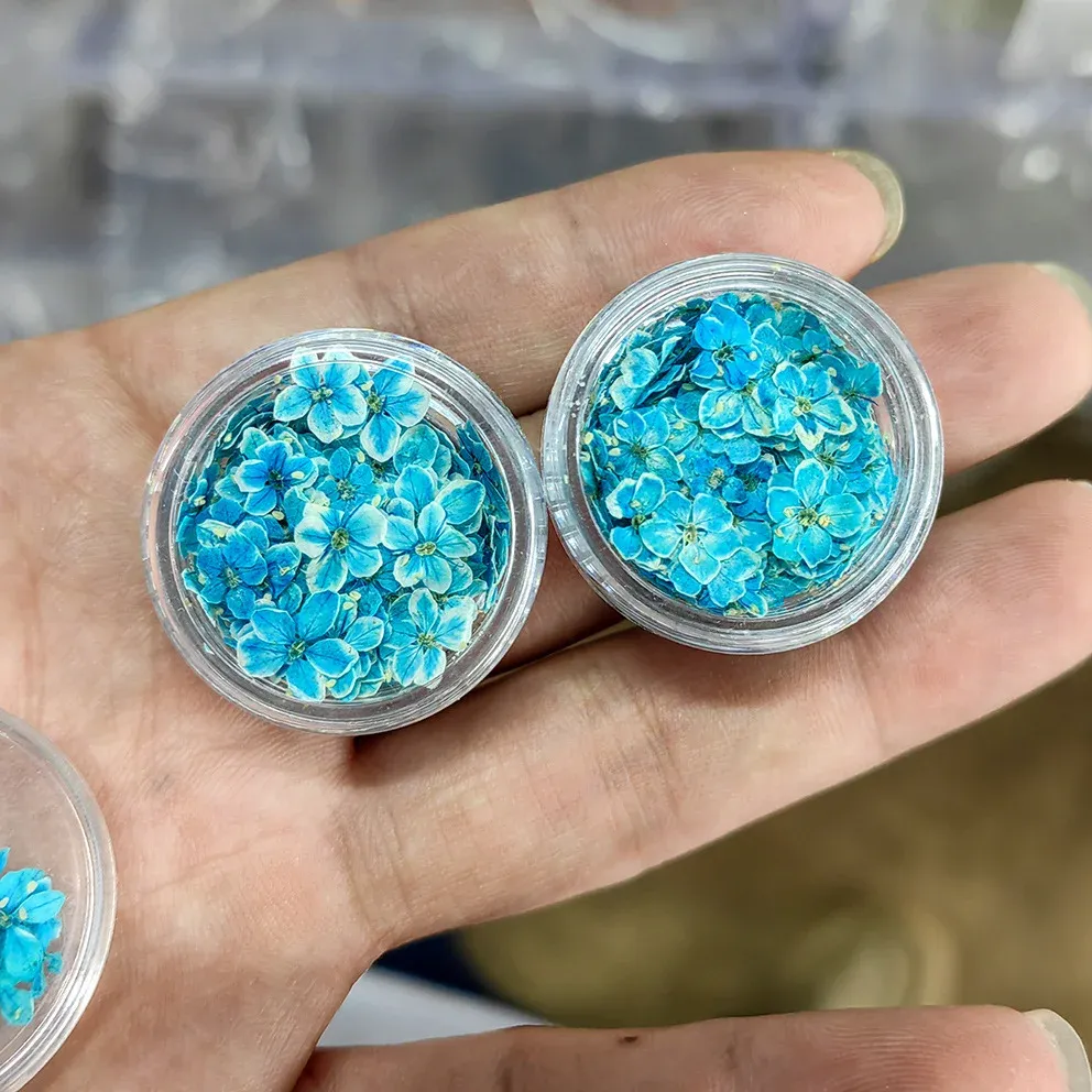 Lot de 150 fleurs séchées pour nail art et résine