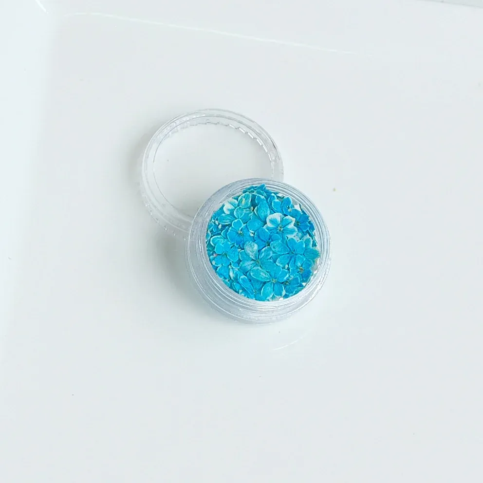 Lot de 150 fleurs séchées pour nail art et résine