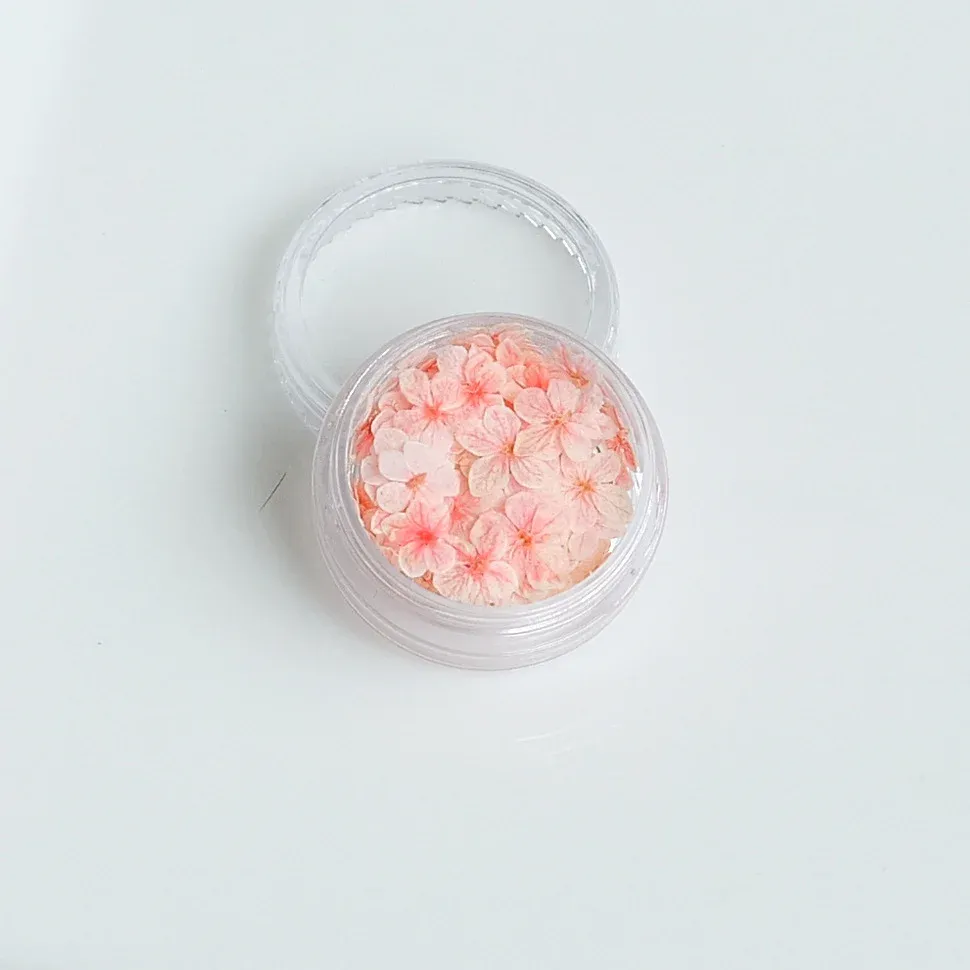Lot de 150 fleurs séchées pour nail art et résine