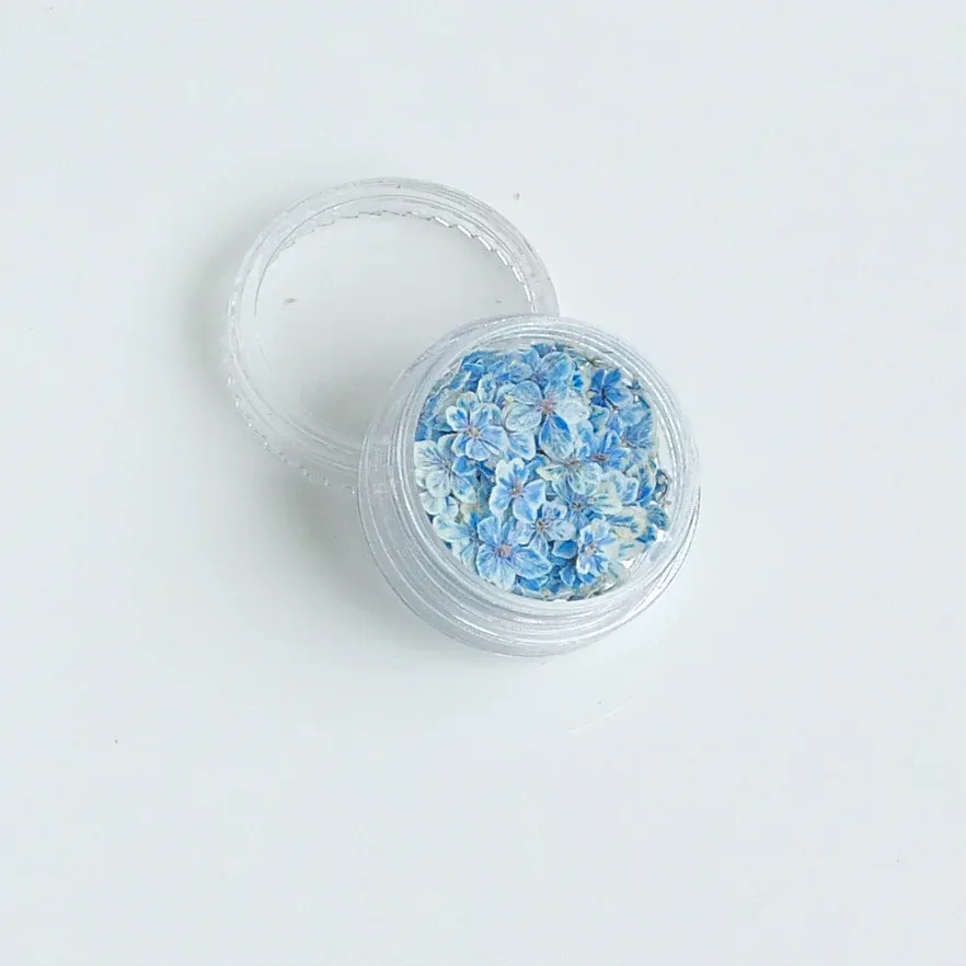 Lot de 150 fleurs séchées pour nail art et résine