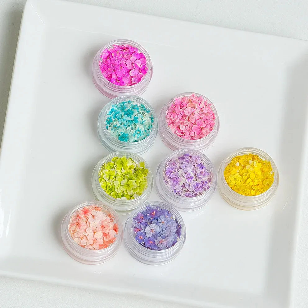 Lot de 150 fleurs séchées pour nail art et résine