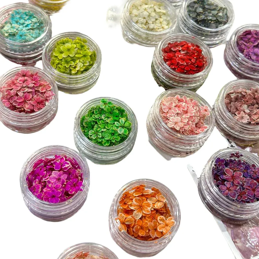 Lot de 150 fleurs séchées pour nail art et résine