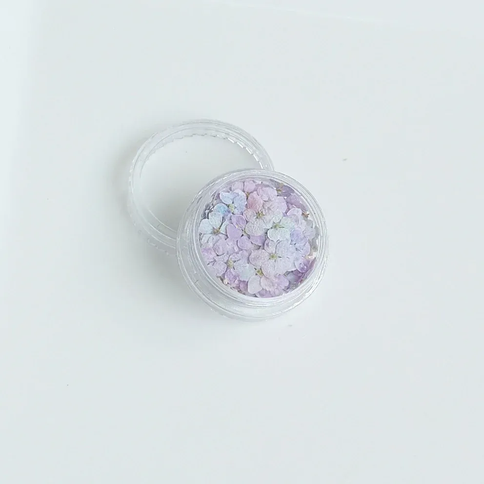 Lot de 150 fleurs séchées pour nail art et résine