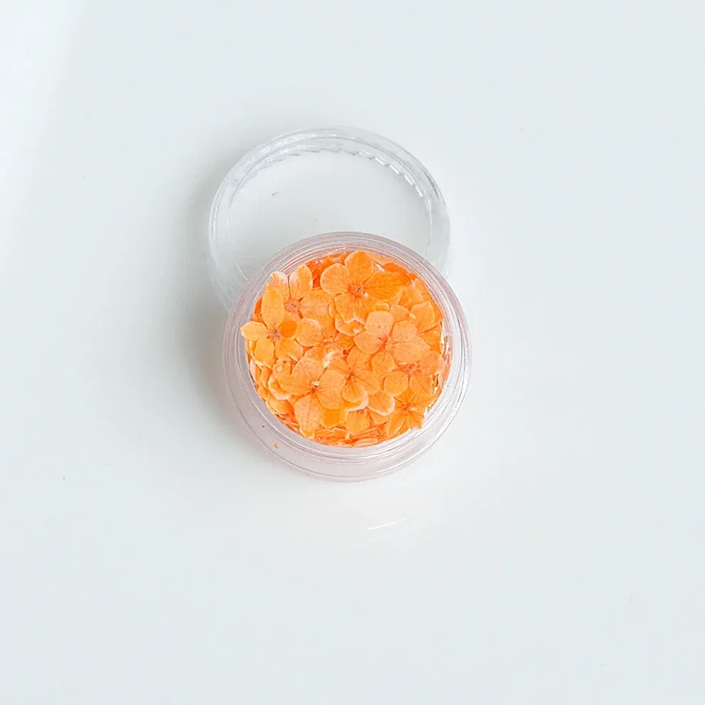 Lot de 150 fleurs séchées pour nail art et résine