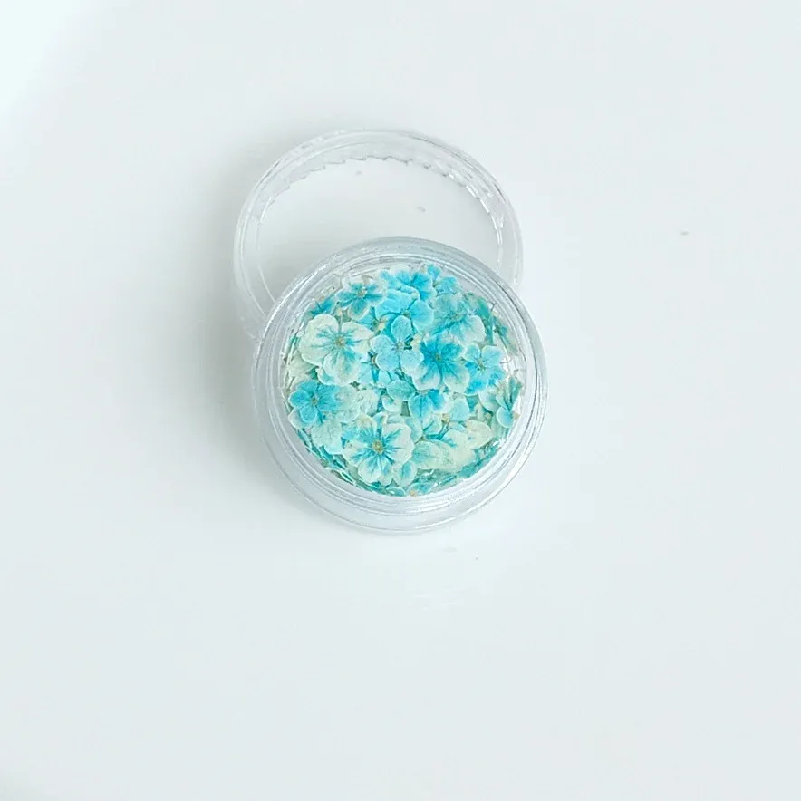 Lot de 150 fleurs séchées pour nail art et résine