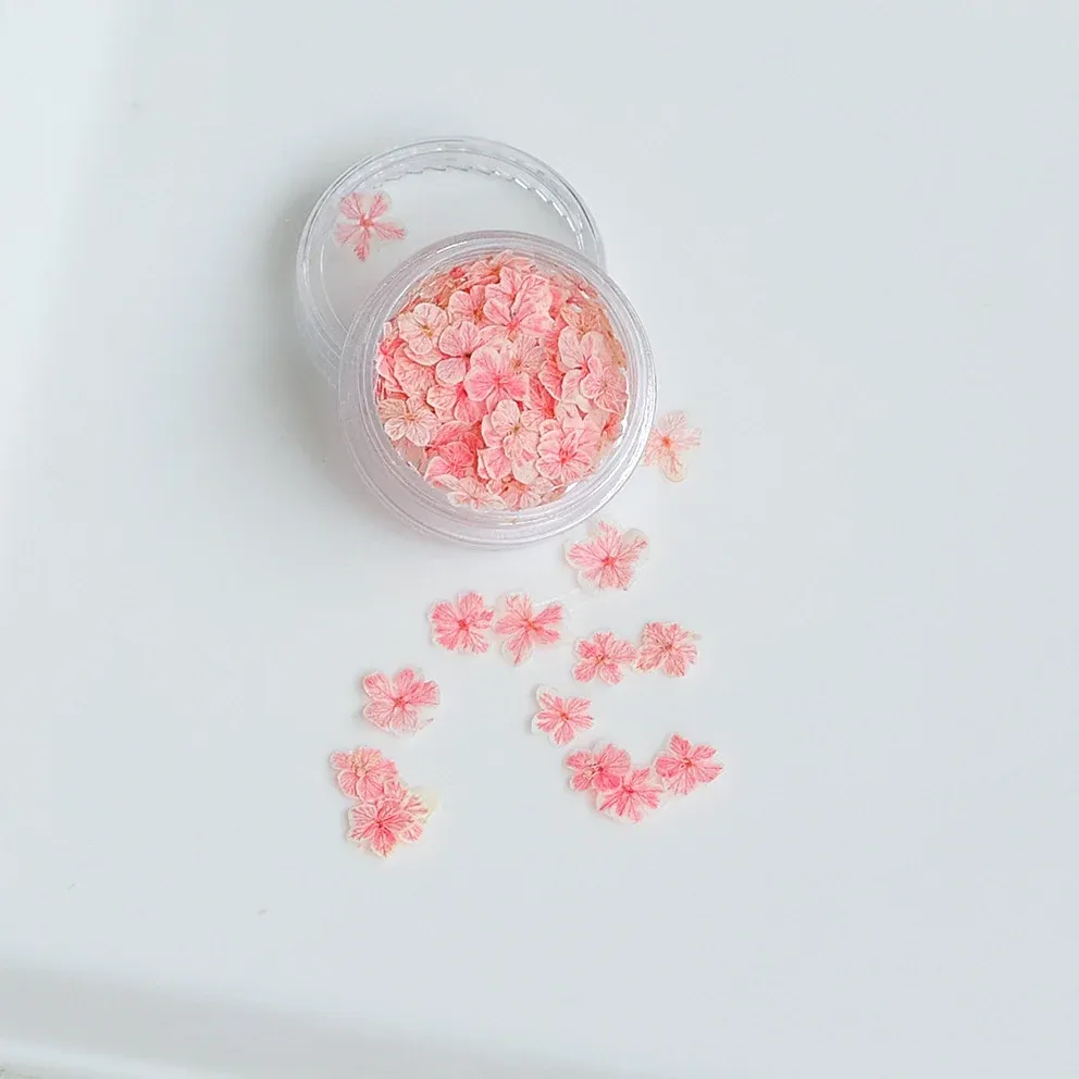 Lot de 150 fleurs séchées pour nail art et résine