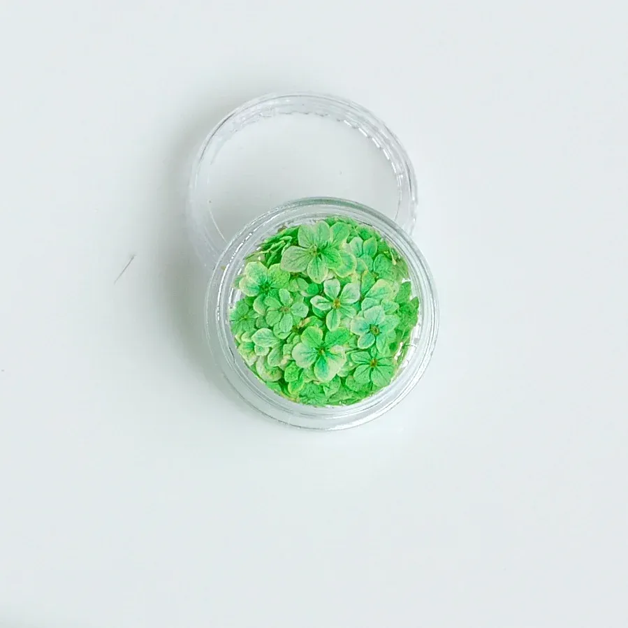 Lot de 150 fleurs séchées pour nail art et résine