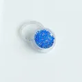 Lot de 150 fleurs séchées pour nail art et résine – Couleur Or (A-6)