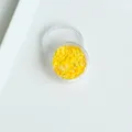 Lot de 150 fleurs séchées pour nail art et résine – Couleur Orange (A-13)