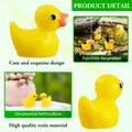 Lot de 50 à 200 mini canards résine pour micro paysage – 6