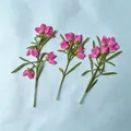 Lot de 50 mini fleurs séchées pressées pour bijoux et cartes – Couleur small ones