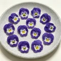 Lot de 60 fleurs de pensée bleues séchées pour bijoux et cartes – 1
