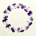 Lot de 60 fleurs de pensée tricolores séchées pour bijoux et cartes – 4