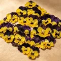 Lot de 60 fleurs de pensée tricolores séchées pour bijoux et cartes – 6