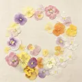 Lot de 60 fleurs de pensée tricolores séchées pour bijoux et cartes – Couleur Mixed-2 1-4cm