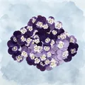 Lot de 60 fleurs de pensée tricolores séchées pour bijoux et cartes – Couleur Color-19 2-3cm-1