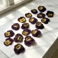 Lot de 60 fleurs de pensée tricolores séchées pour bijoux et cartes – Couleur Color-19 2-3cm