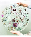 Marque-page fleurs séchées pressées pour résine DIY – 3