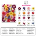 Marque-page fleurs séchées pressées pour résine DIY – 4